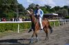 Immagine <b>REG_9326</b>